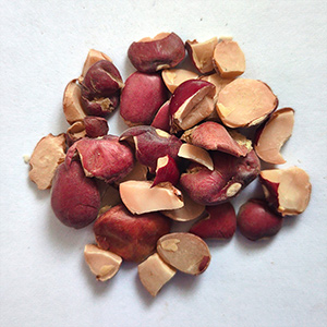 172610400686463600