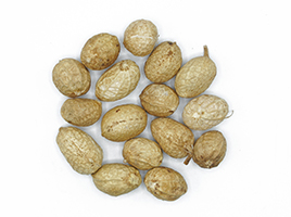172629679470728500