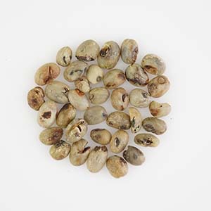 174685788127195700