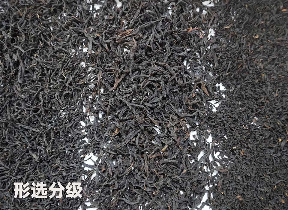 J9国际站备用【唯一】官方网站
