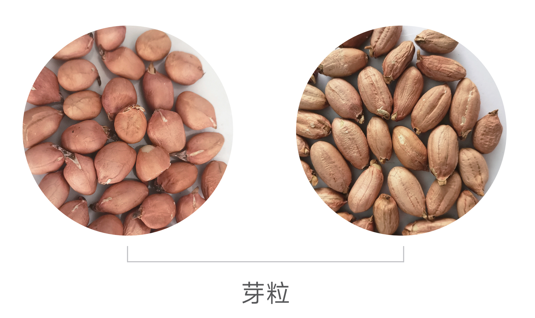 J9国际站备用【唯一】官方网站